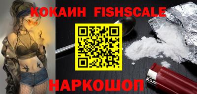 тгк Гай