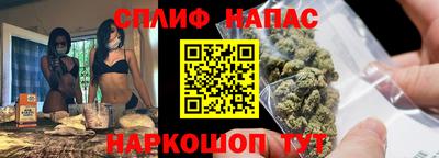 тгк Гай
