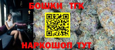 тгк Гай