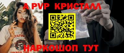 тгк Гай