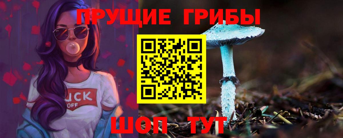 Кострома  Псилоцибиновые грибы мухоморы  Вход с VPN 